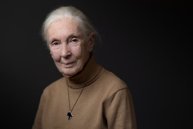 <p>Before her death, chimpanzee expert and conservationist Jane Goodall revealed her wish to send tech billionaire Elon Musk, President Donald Trump and Israeli Prime Minister Benjamin Netanyahu on a SpaceX flight out of Earth</p>
