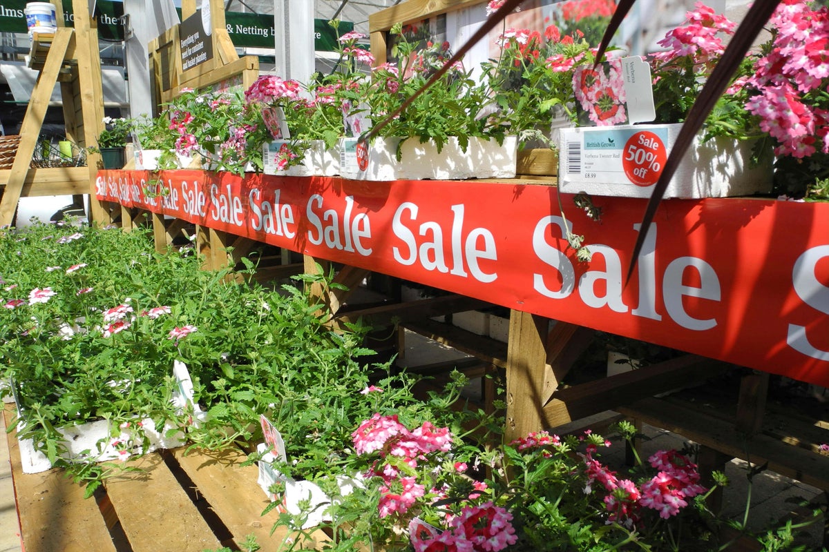 Money-saving tips to boost your borders Money-saving tips to boost your borders