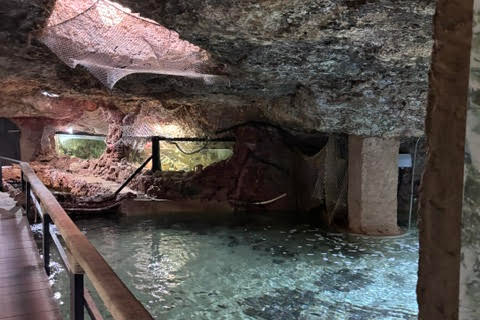 Leeanna’s toddler had fun feeding fish and stingrays in Aquarium Cap Blanc’s caves (Leeanna Lock)