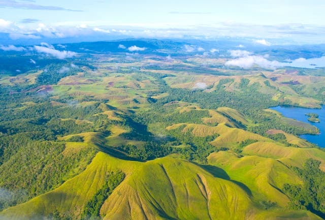 <p>Aerial photo of the  coast of New Guinea</p>