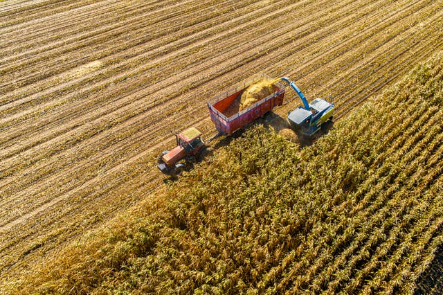 <p>The U.S. agricultural sector is being hard hit as a result of President Donald Trump's tariff war, which is causing important customers like China to shun its produce while the cost of importing fertilizers and heavy machinery is also rising</p>