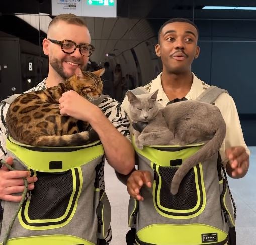 Don't take your cat on the Tube, pet charity warns after disturbing' viral video