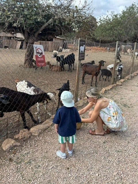 Feeding the goats at Can Muson Farm in Ibiza