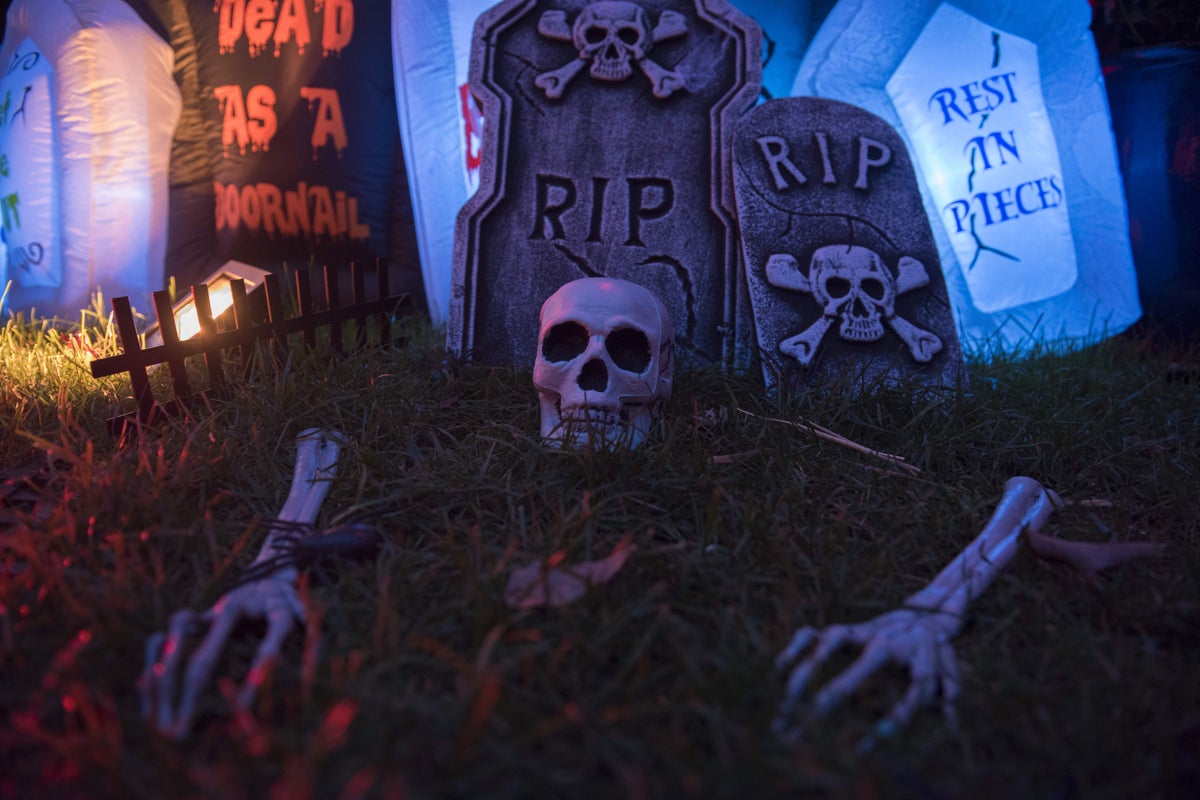 https://static.independent.co.uk/2025/10/07/20/59/GettyImages-1052638398.jpg?trim=0,1,0,0&width=1200&height=800&crop=1200:800