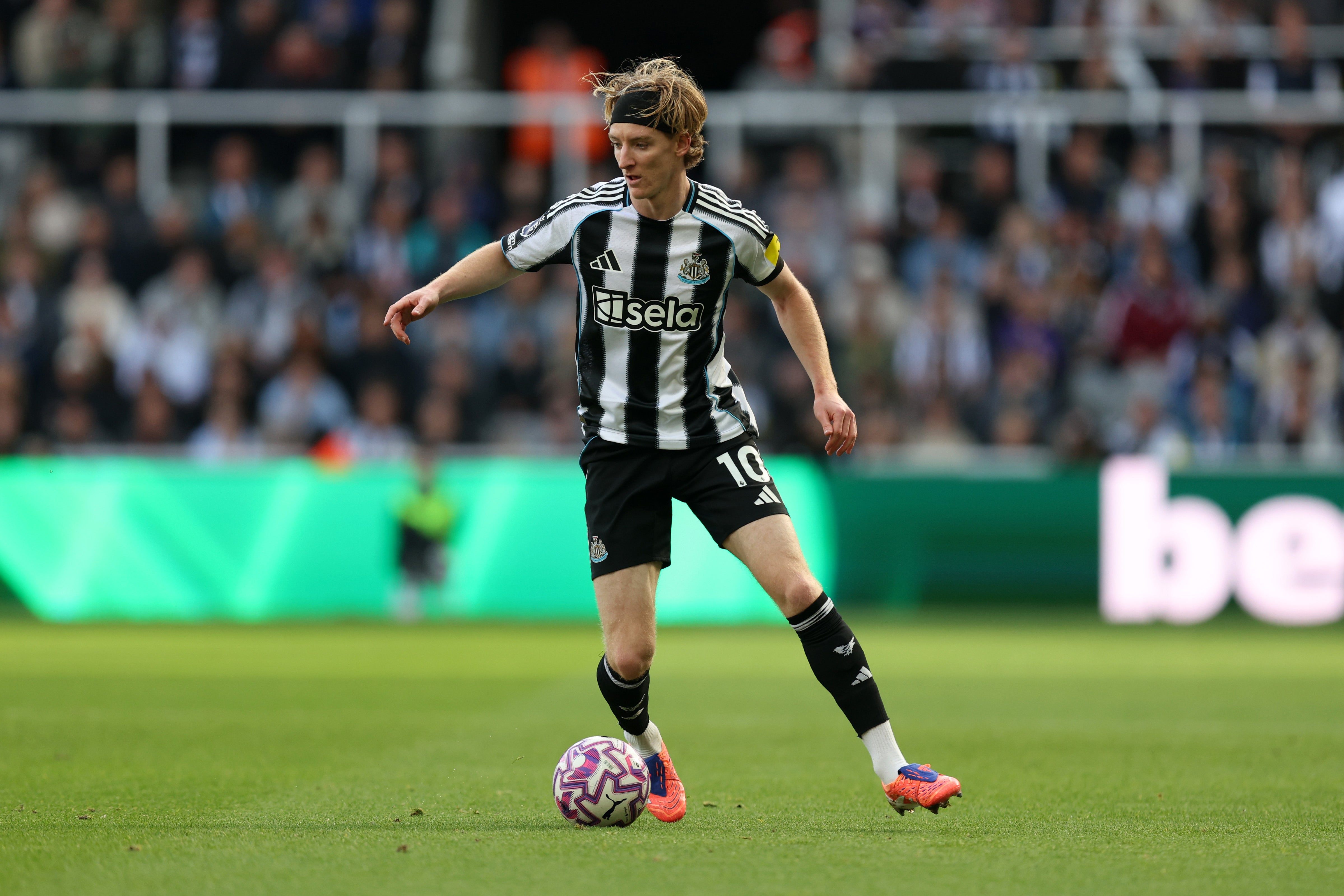 The Newcastle forward has featured regularly for England under Thomas Tuchel