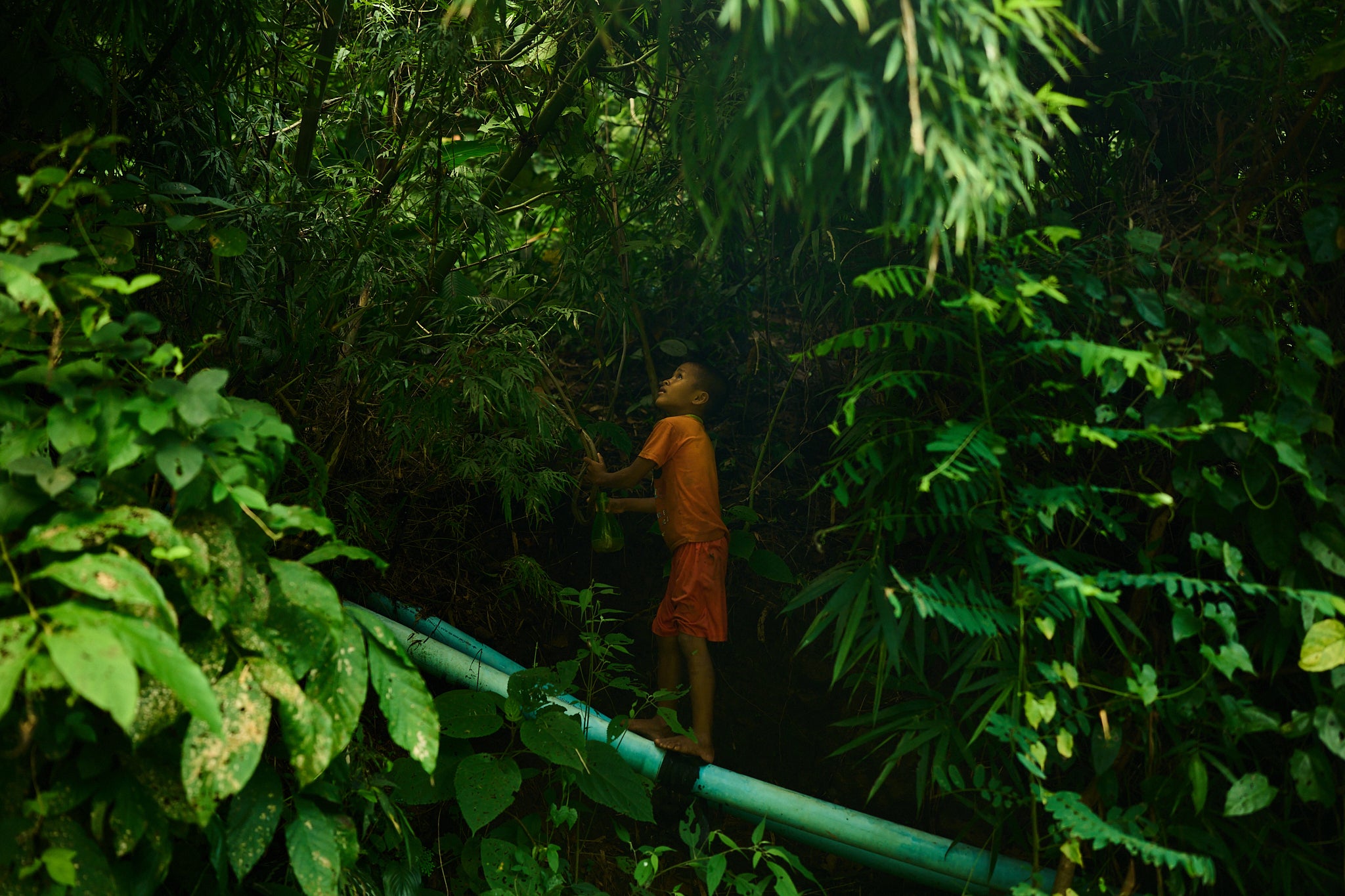 Foreign Aid-Myanmar's Misery