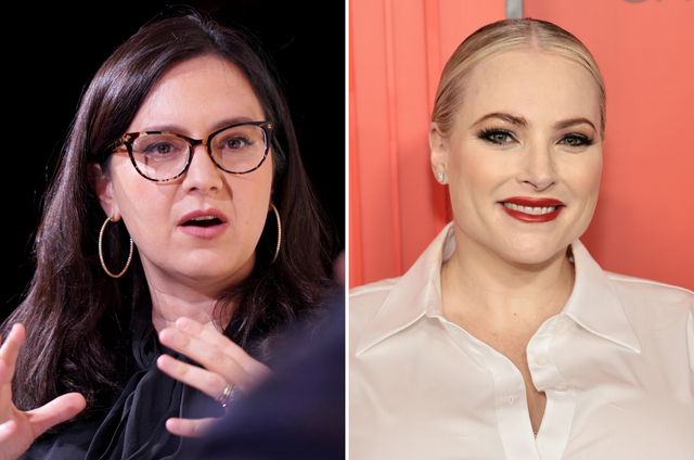 <p>CBS News editor-in-chief Bari Weiss (left) reportedly failed her audition to replace Meghan McCain (right) on 'The View'</p>