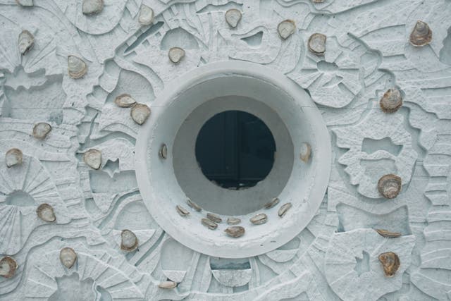 <p>Native oysters attached to oyster reef cubes ahead of their deployment in the North Sea (ZSL/PA)</p>