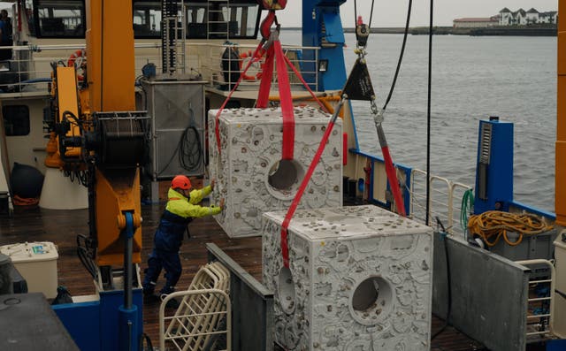 <p>The oyster reef cubes were loaded onto a boat before they were deployed in the North Sea</p>