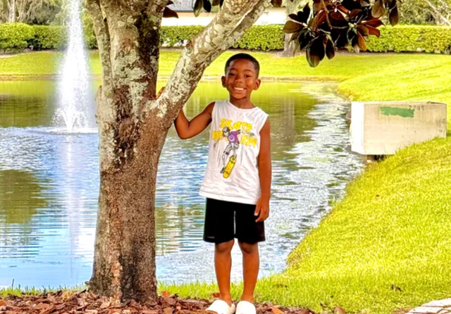 <p>Ariel Barner of Orlando, Florida, says her five-year-old son was targeted by her homeowners' association for swinging on the branches of a tree near a bus stop</p>