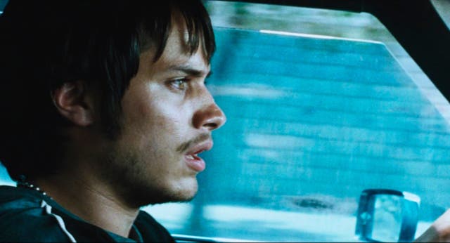AMORES PERROS