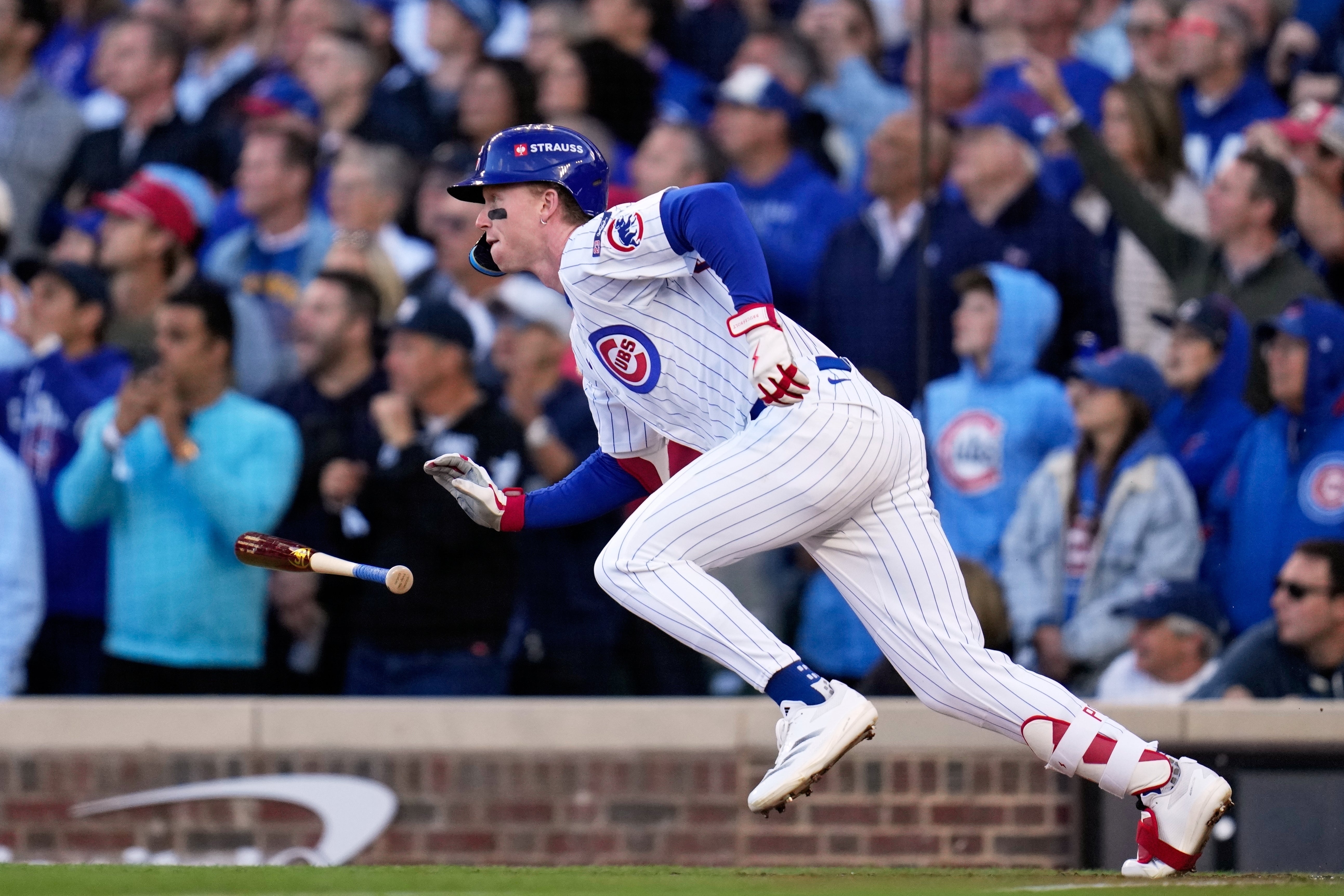 CERVECEROS CACHORROS