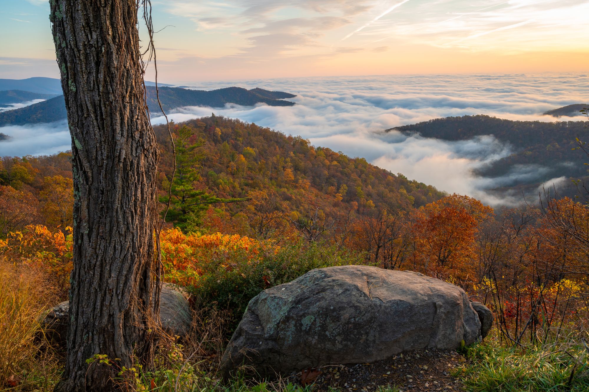 <p>Hiking trails are scattered through Shenandoah National Park, including parts of the Appalachian Trail </p>