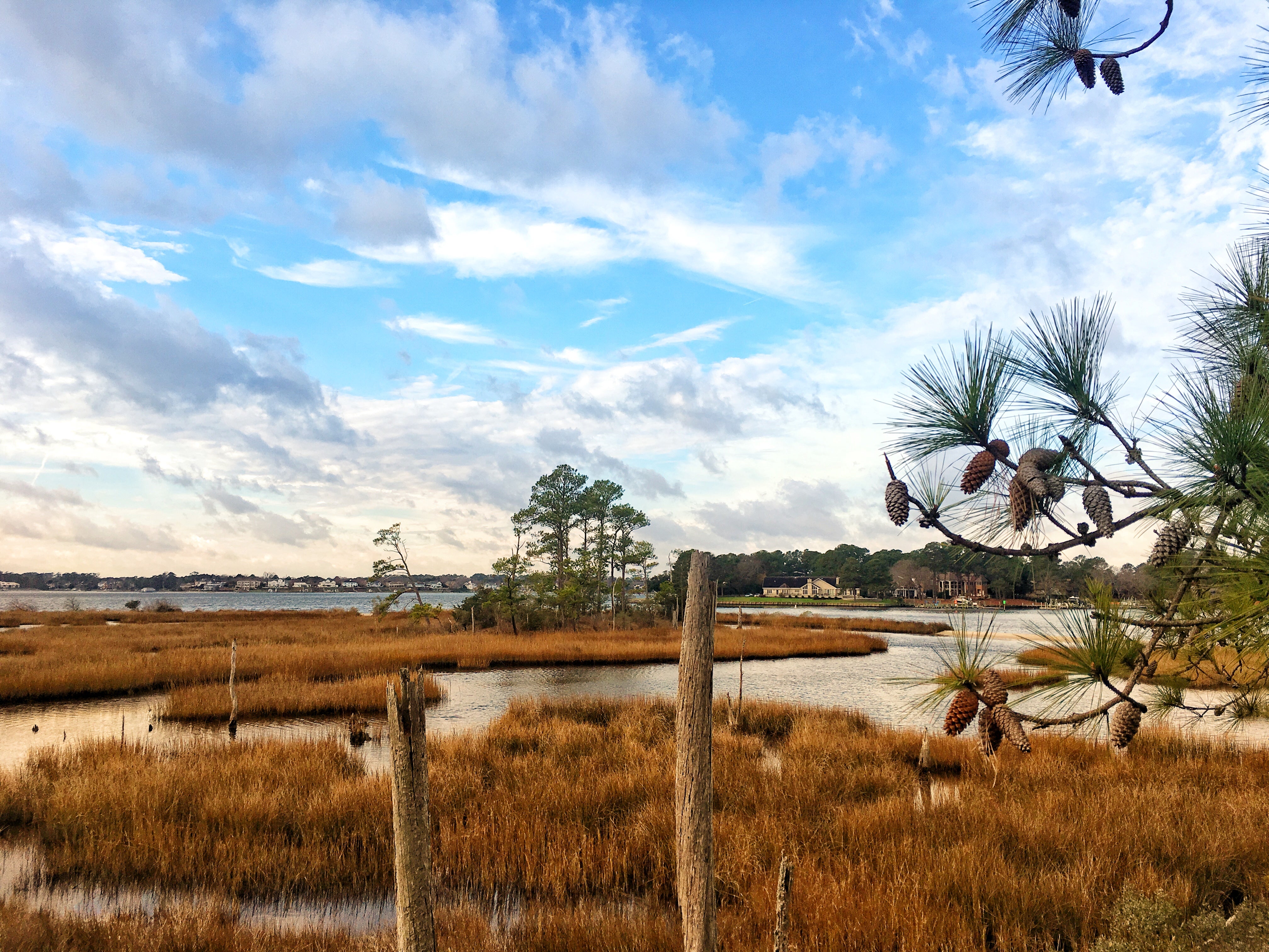 The road trip stretched from the mountains of Shenandoah down to the salt marshes of First Landing State Park in Virginia Beach