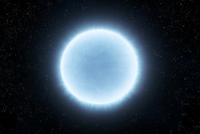<p>Stars typically contain a small percentage of heavier elements like carbon and iron</p>