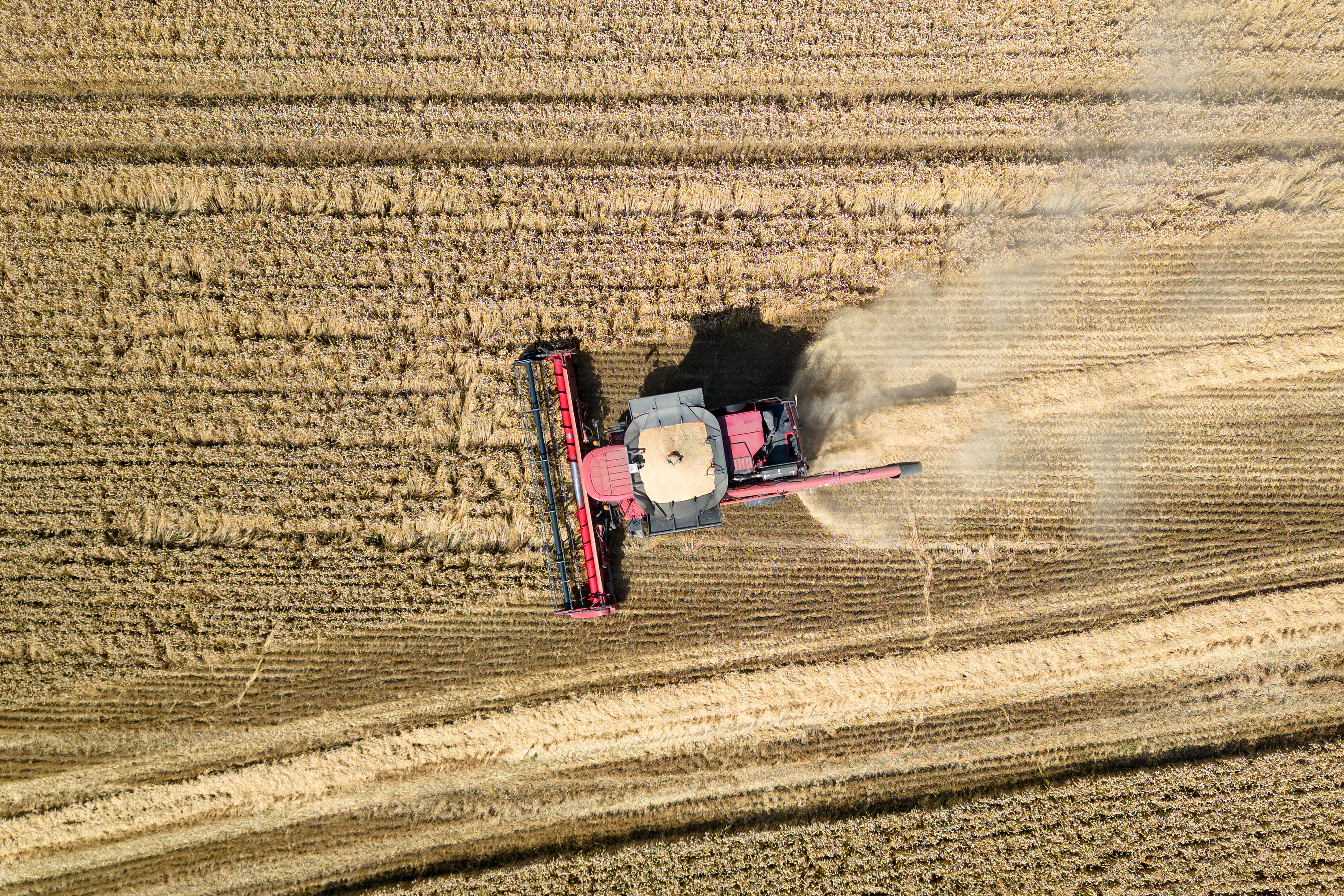 A field of wheat is harvested near Spaldwick in Cambridgeshire (Joe Giddens/PA)