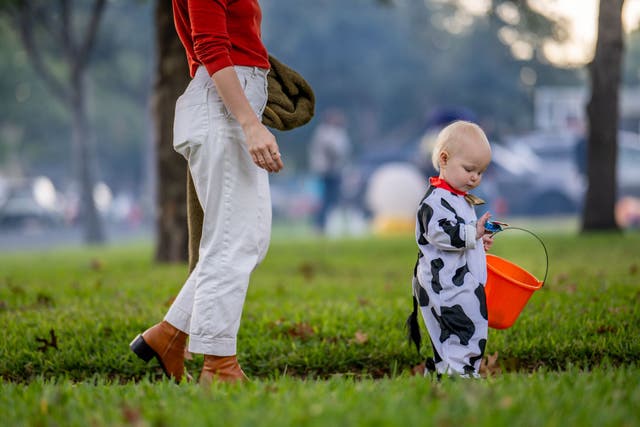 <p>In the US, 44 per cent of Halloween-related injuries stem from pumpkin carving</p>