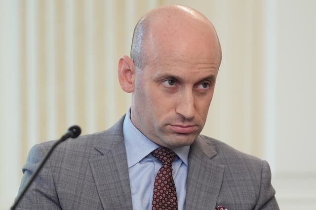 <p>The cousin of Donald Trump’s immigration czar Stephen Miller has blasted the White House senior advisor and over his policies that would likely have stopped their family from coming to the U.S. in the first place</p>