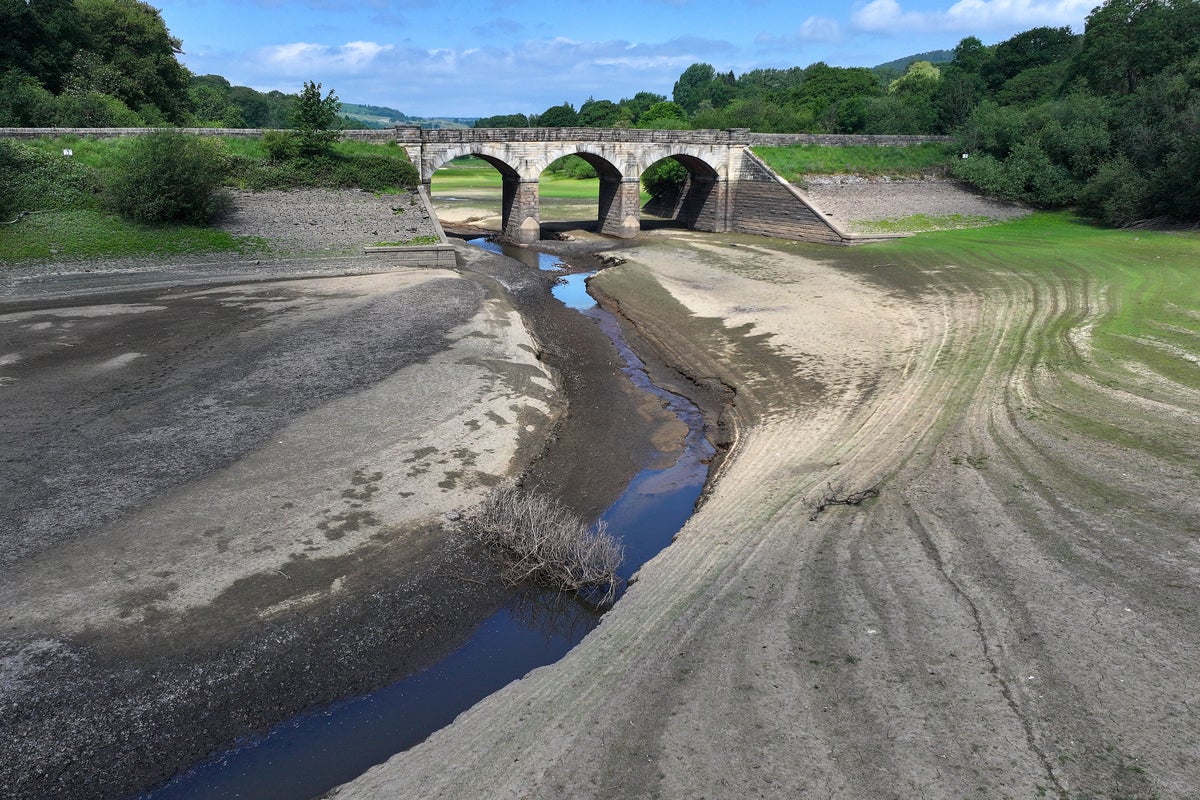 England could face widespread drought in 2026 without wet winter