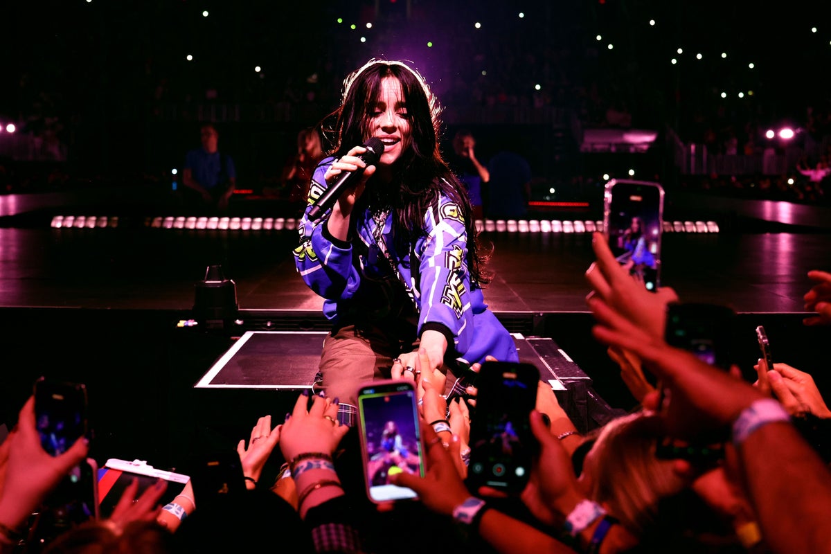 Billie Eilish violently dragged into barricade by audience member during Miami show Billie Eilish violently dragged into barricade by audience member during Miami show