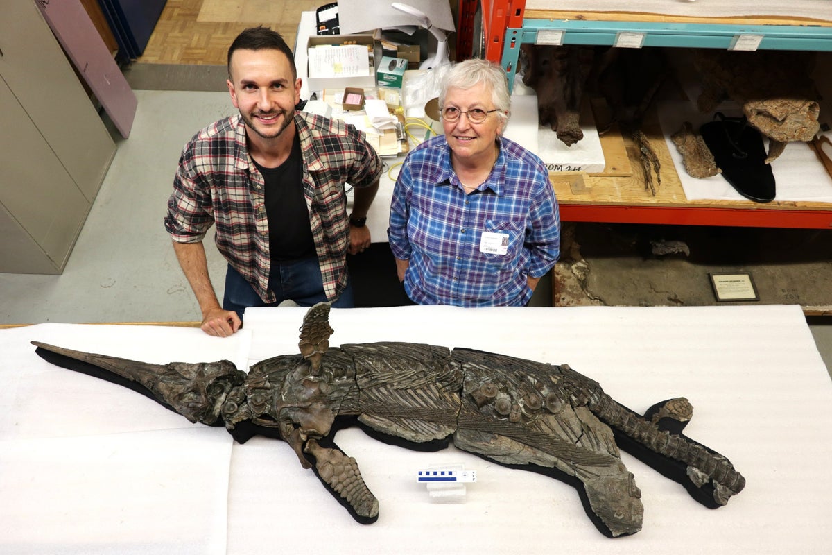 New species of sword dragon' reptile named after fossil discovered in UK