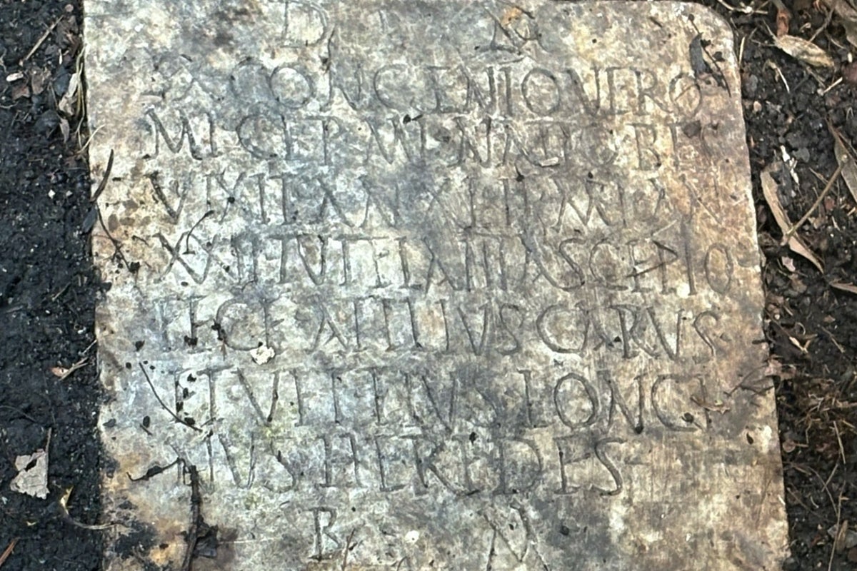 Ancient Roman artifact uncovered in overgrown garden