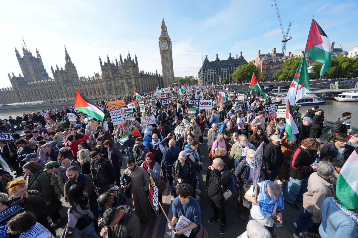 Tens of thousands of pro-Palestine protesters march through London to mark two years of war in Gaza