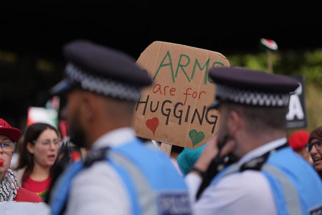Thousands have gathered for a Palestine Solidarity Campaign march in London (Yui Mok/PA)