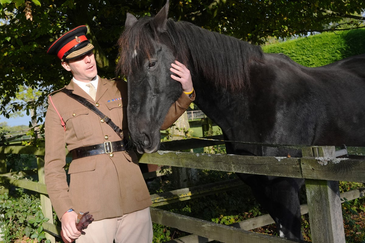 Army horse that bolted through London enjoying quiet retirement