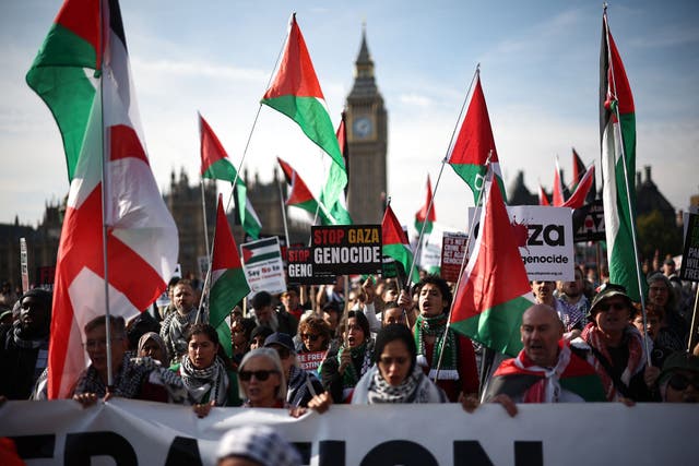 <p>Pro-Palestinian supporters hold placards and wave flags in central London, on October 11, 2025, as they take part in the National March for Palestine</p>