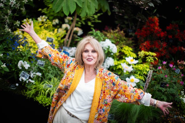 Dame Joanna Lumley said the reasons why people choose to leave their homelands should be examined (James Manning/PA)