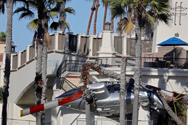 <p>The aircraft was still nestled among the palm trees hours after the crash, according to reports</p>