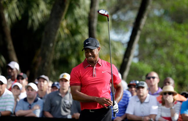 <p>Tiger Woods announced he has undergone back surgery </p>