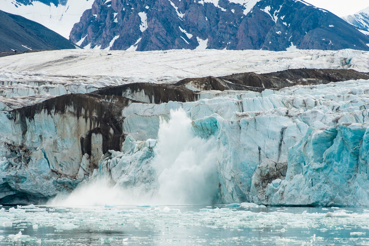 World reaches first climate tipping point as scientists issue urgent warning