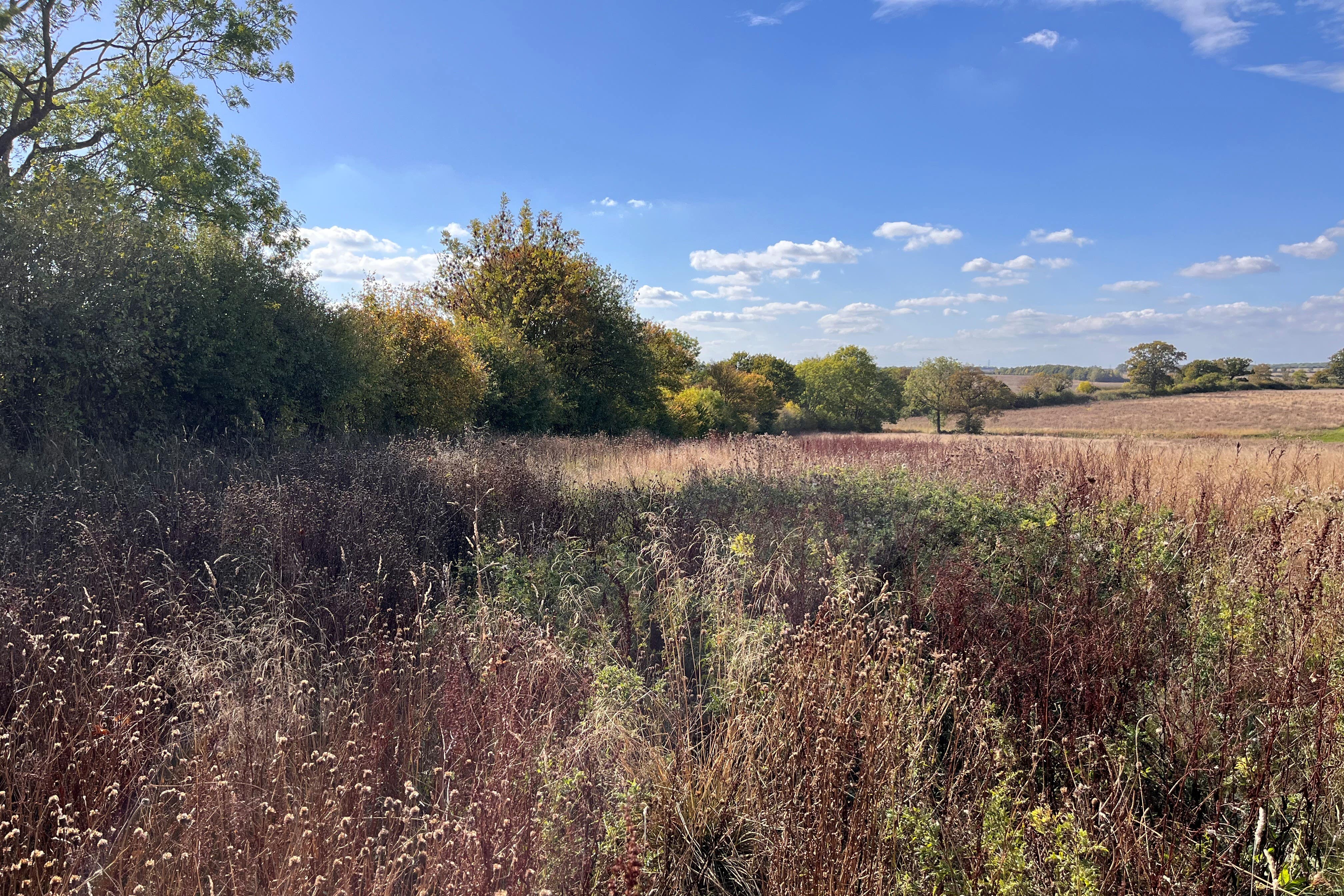 Boothby Wildland is the first landscape-scale nature recovery programme being implemented with Government support (Emily Beament/PA)
