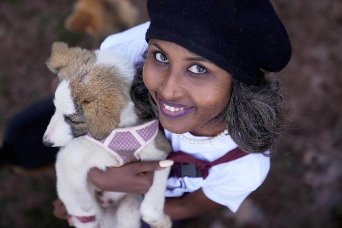 Abandoned dogs in Ethiopias capital get little care. A woman wants to change that