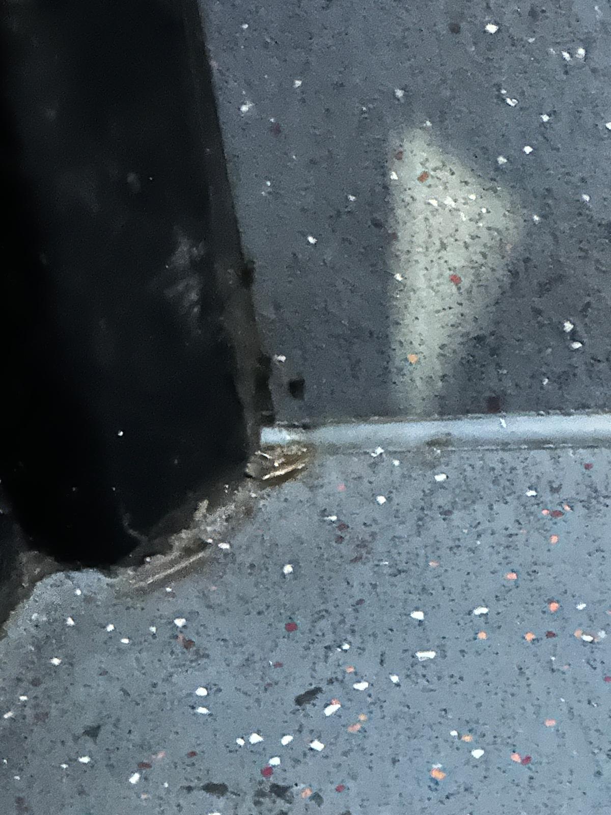 London Bus Forums said that these roach reports were not isolated
