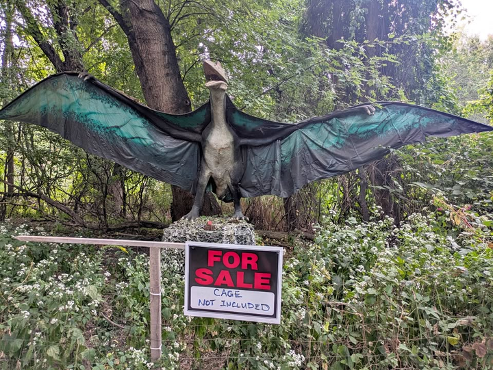 Several animatronic dinosaurs used at a New Jersey amusement park are up for sale, some for as low as $700