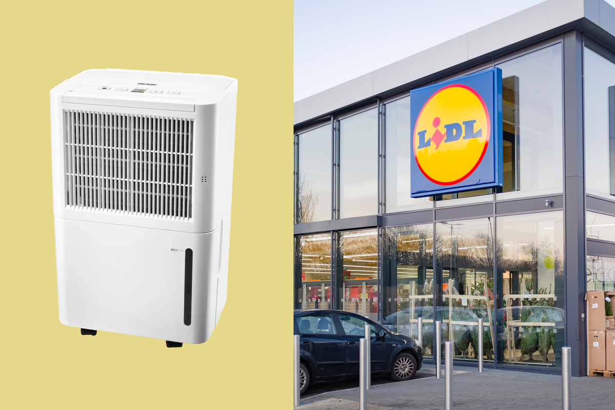 This affordable dehumidifier from Lidl can also dry clothes