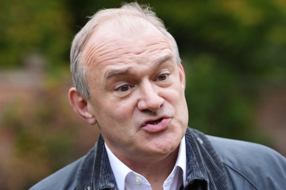 Ed Davey to urge energy sector to ‘take on the lies of Farage and Badenoch’