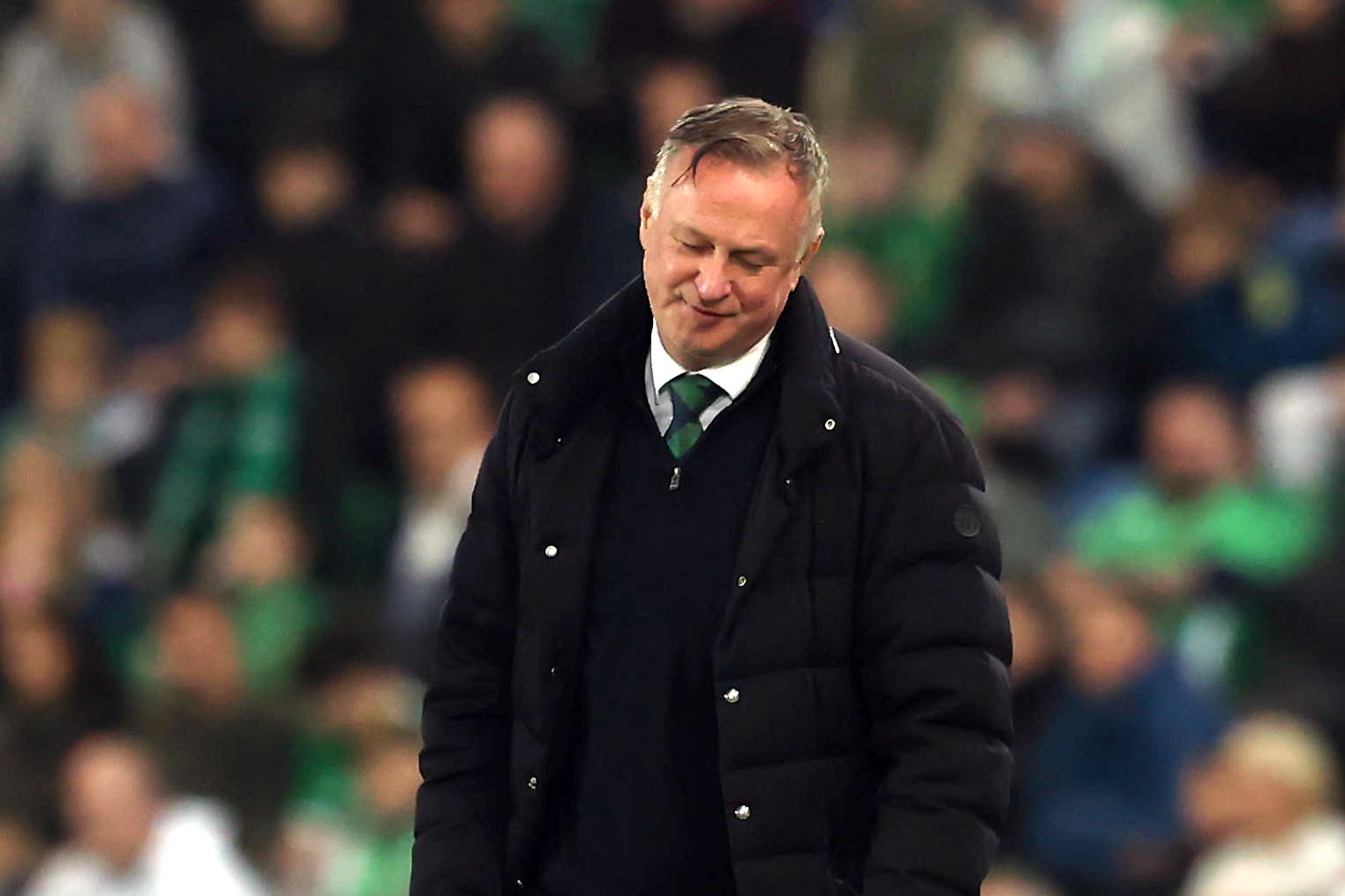 Northern Ireland head coach Michael O’Neill was left disappointed (Liam McBurney/PA)