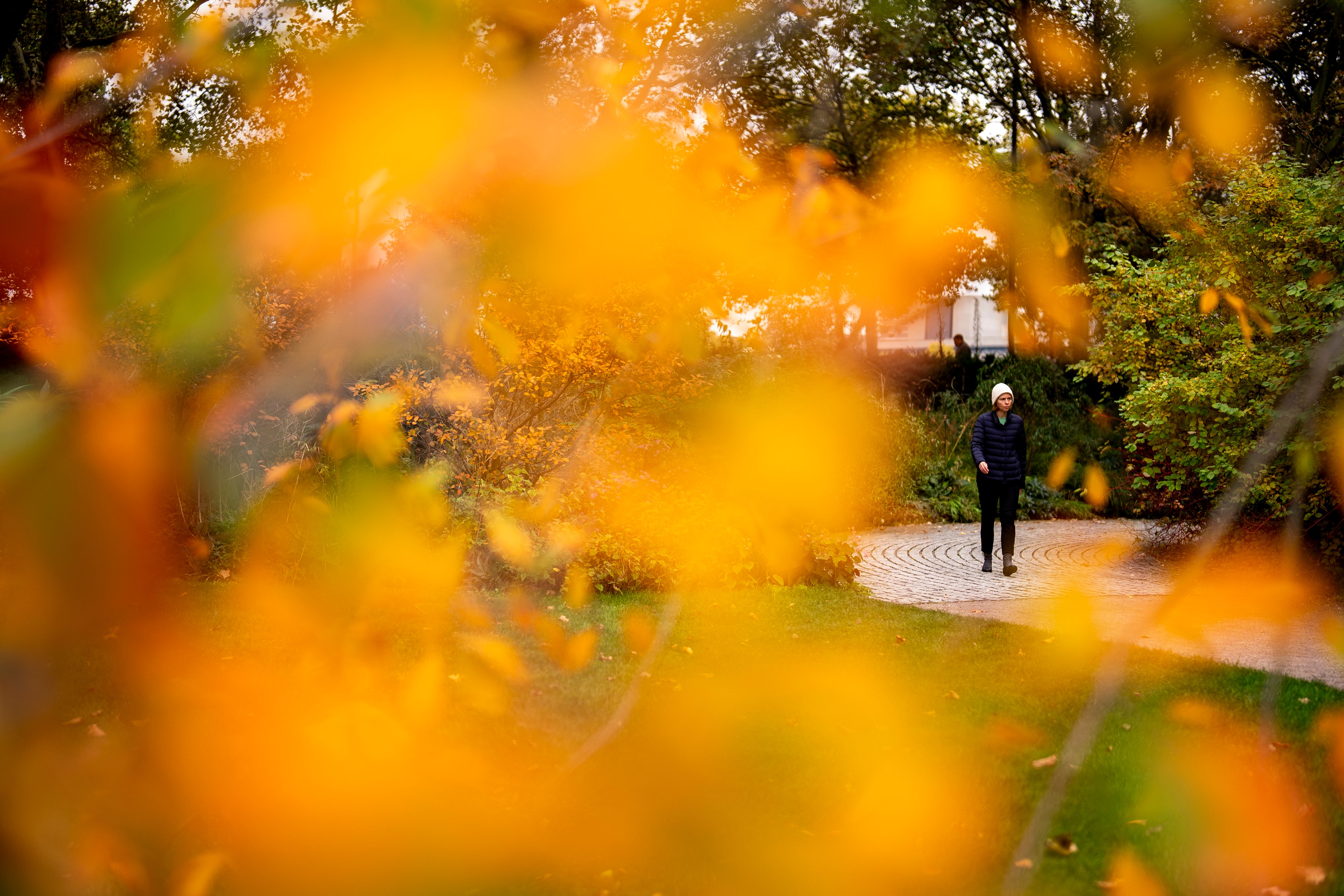 The forecasters have said this winter is most likely to bring average or milder conditions in its three-month outlook for October to December
