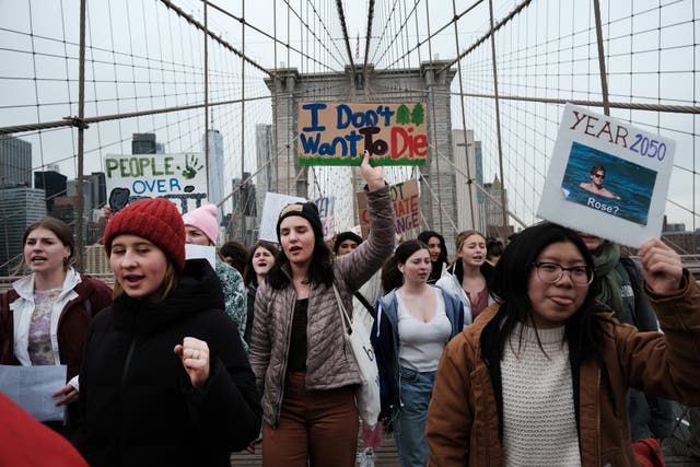 <p>Dozens of local schoolchildren, activists, and others participate in a Strike for Climate march</p>