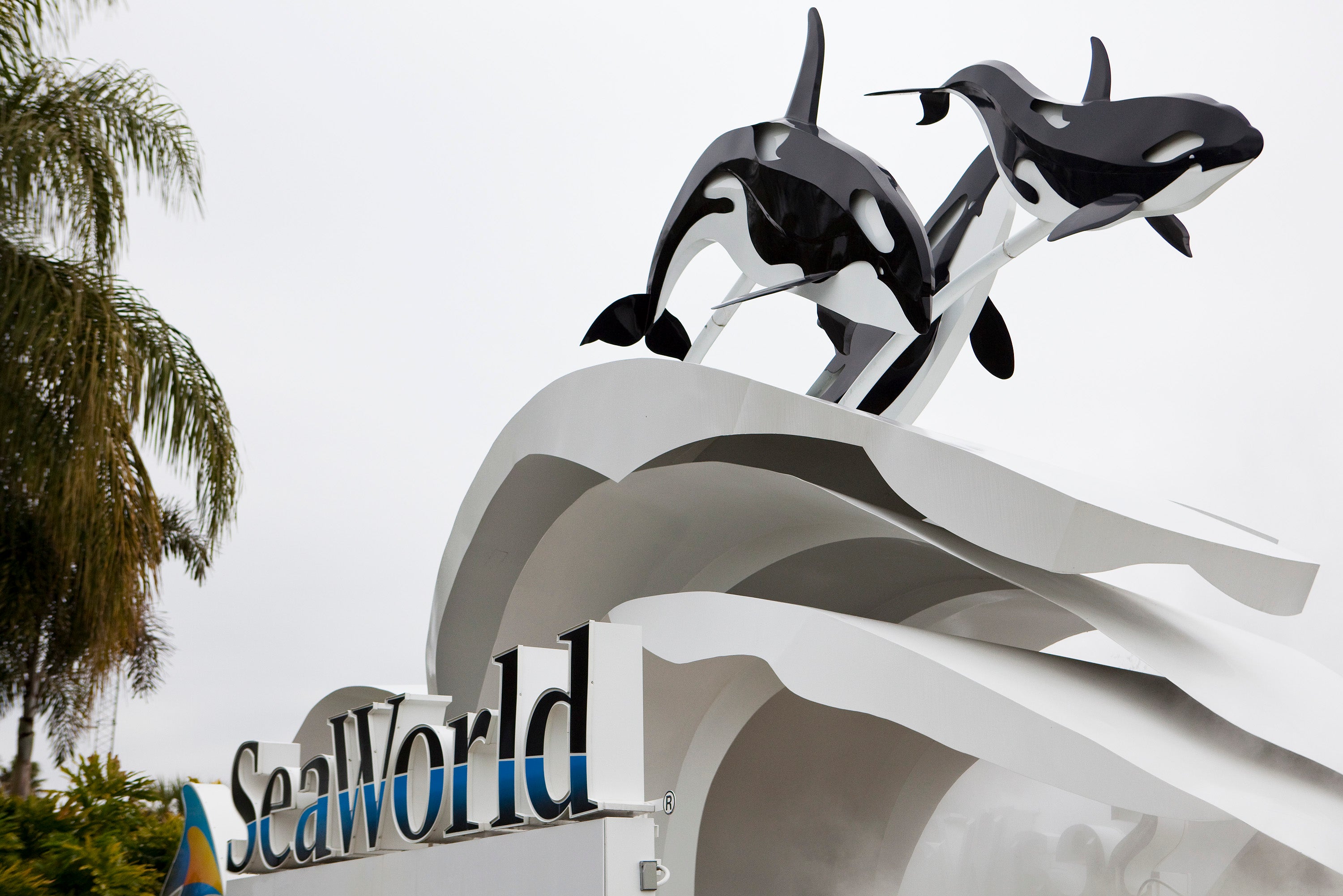 SeaWorld Orlando also charged a $11.99 ‘service fee’ for one ticket or $16.99 for two when The Independent checked its website