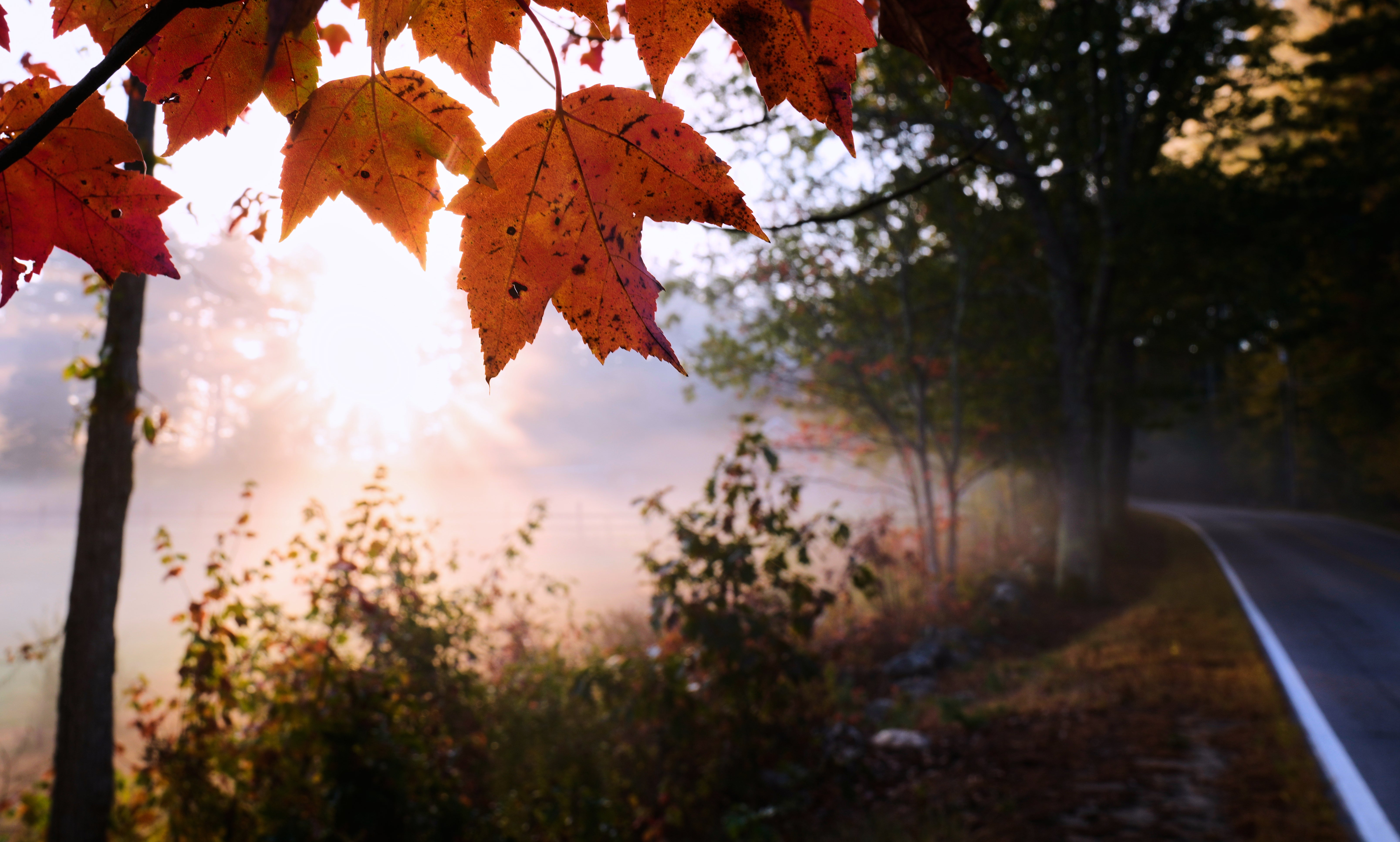 APTOPIX New Hampshire Daily Life