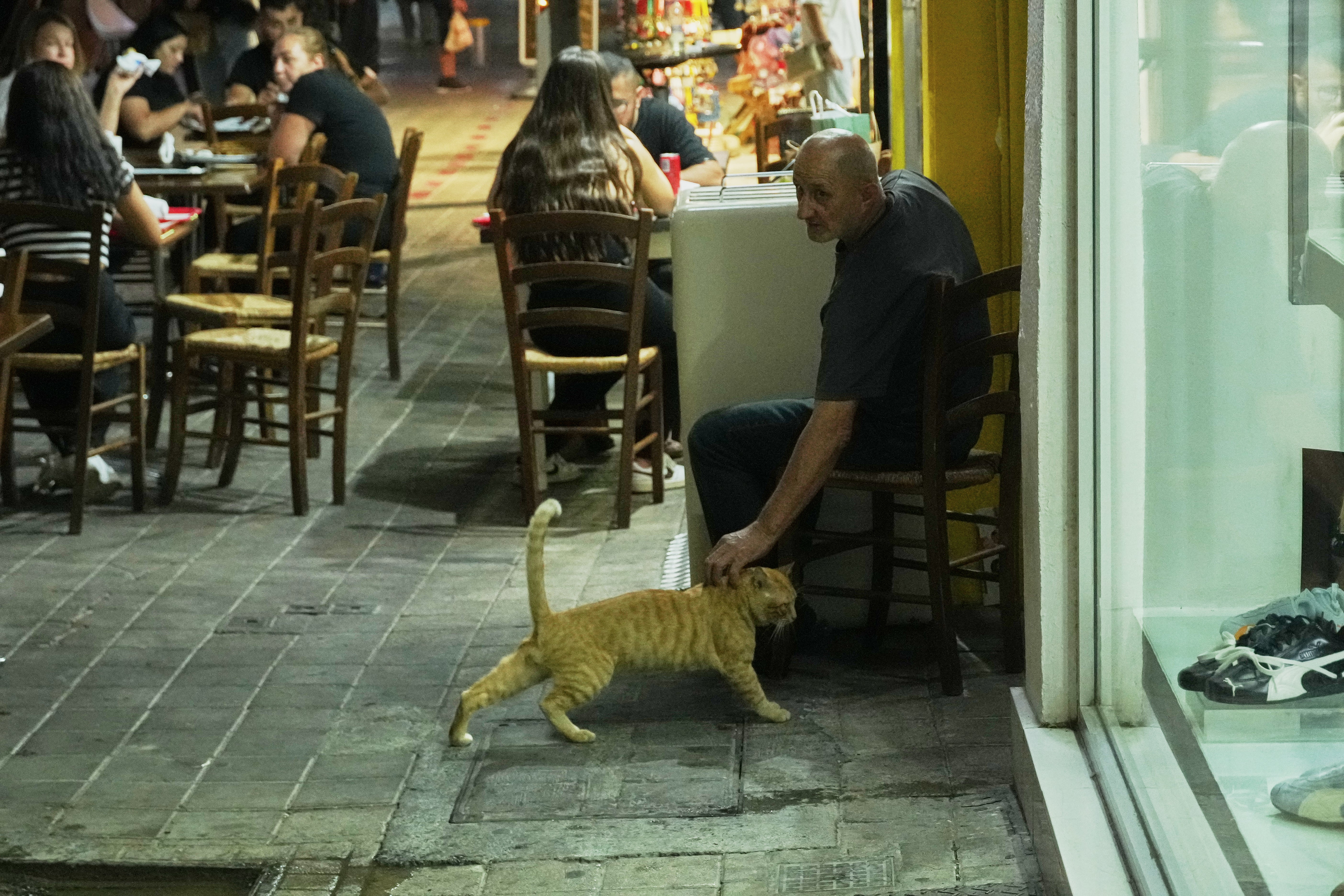 Uma pessoa cuida de um gato do lado de fora de um restaurante na capital Nicósia, Chipre, 26 de setembro de 2025. (AP Photo/Petros Caradjius)