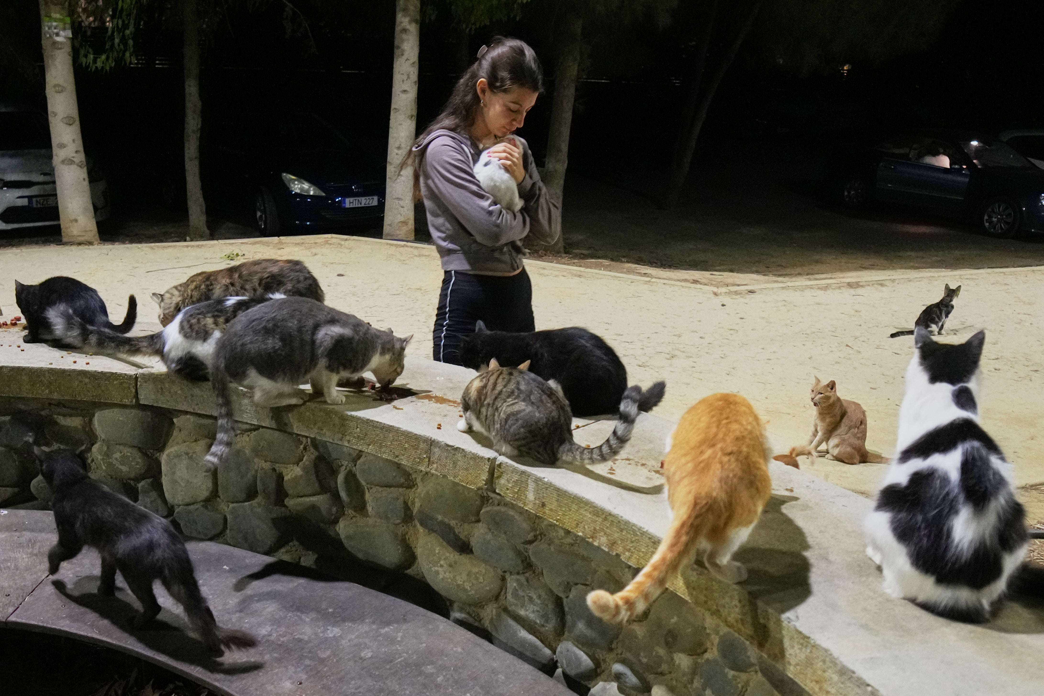 Uma capital feminina, Nicósia, Chipre, contém um gato em um parque na região de Strovolos, em 6 de outubro de 2025. (AP Photo/Petros Caradjius)