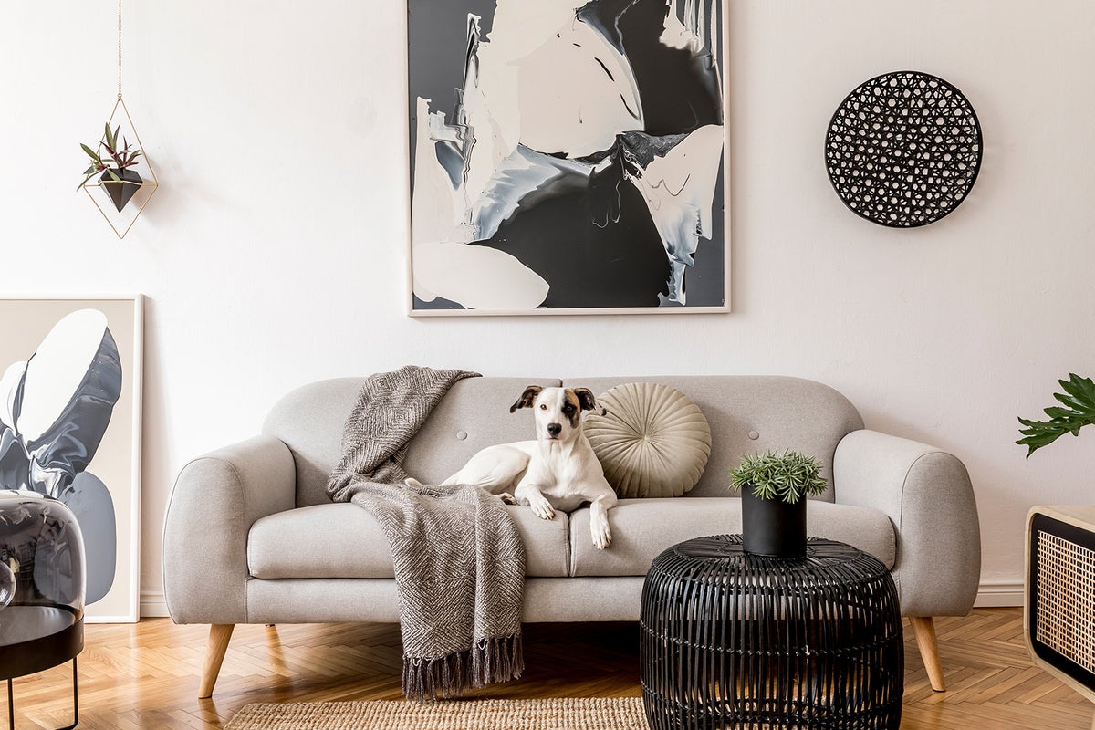 Prepare your living space for optimum comfort and functionality this autumn