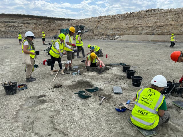 <p>Researchers from the Oxford University Museum of Natural History and the University of Birmingham uncover sauropod footprints in Oxfordshire</p>