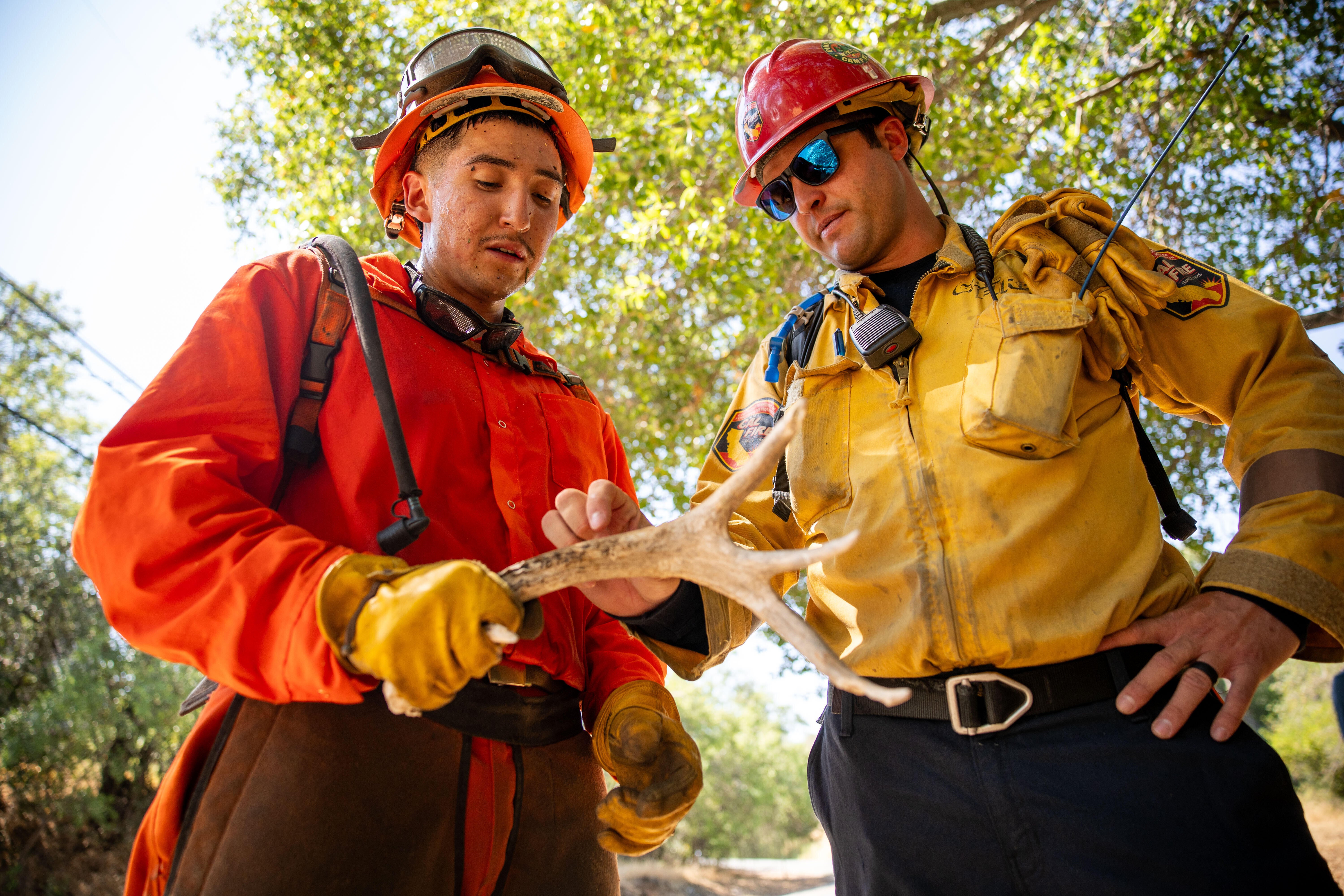 California Inmate Firefighters Photo Essay